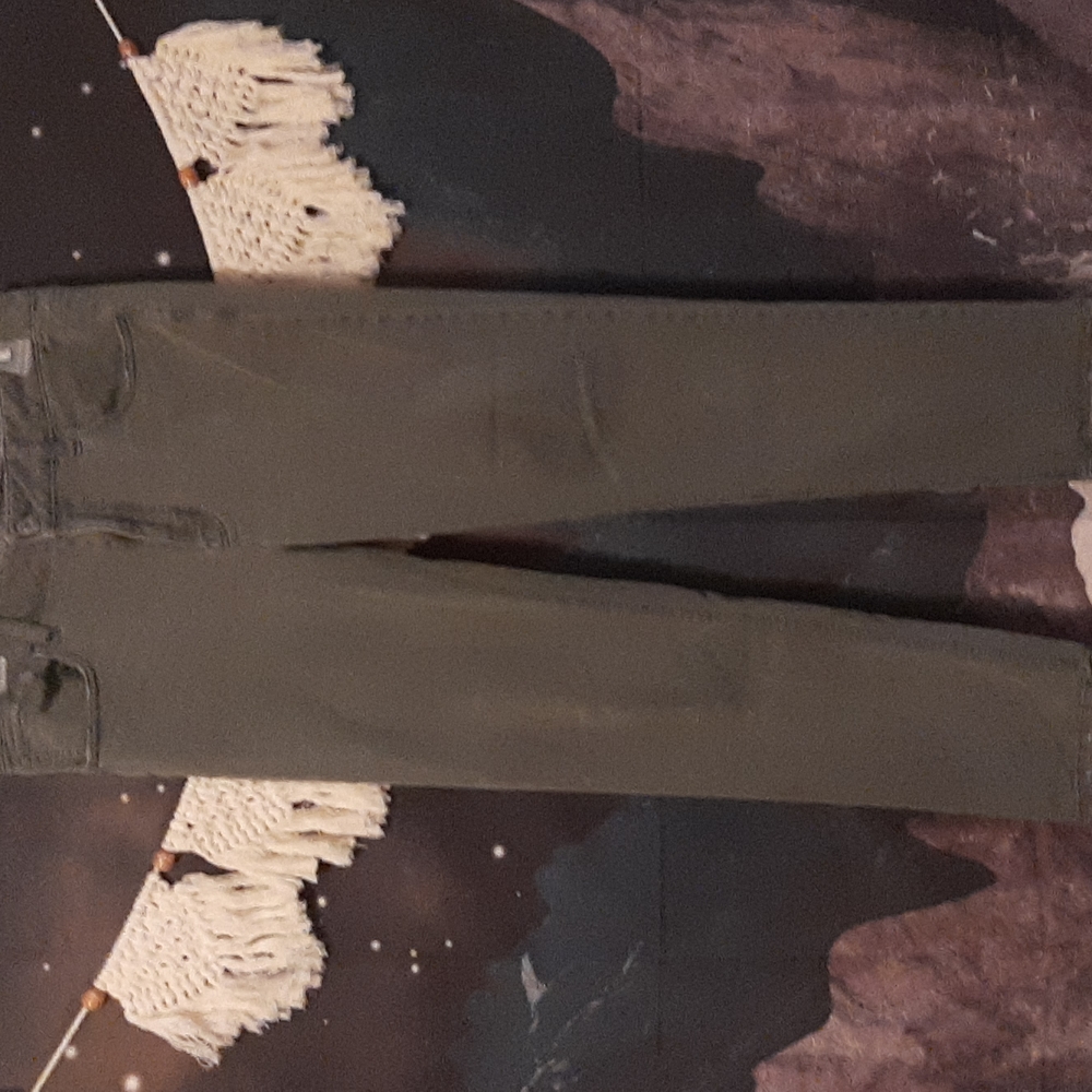 GUC faded green tomgirl style size 4 short american eagle jeans